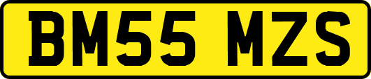 BM55MZS