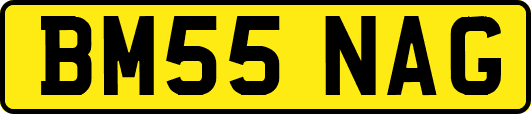 BM55NAG