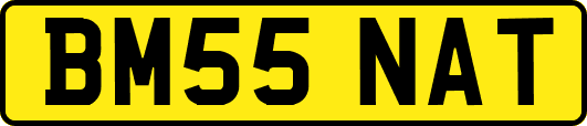 BM55NAT