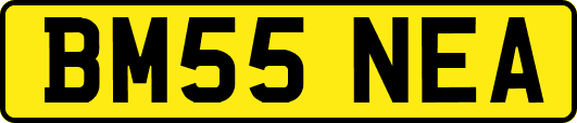 BM55NEA