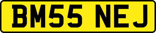 BM55NEJ