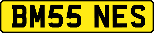 BM55NES
