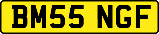BM55NGF