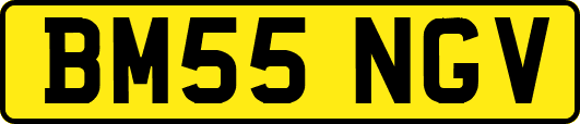 BM55NGV