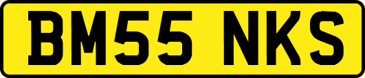 BM55NKS