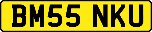 BM55NKU