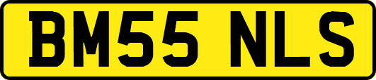 BM55NLS