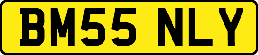 BM55NLY