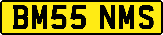 BM55NMS
