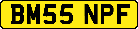 BM55NPF