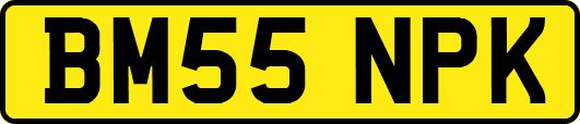 BM55NPK