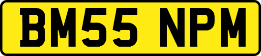 BM55NPM