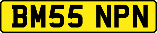 BM55NPN