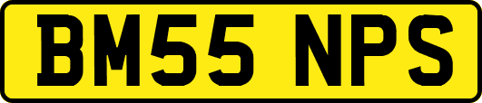 BM55NPS