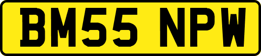 BM55NPW