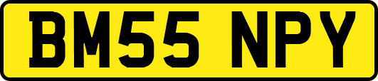 BM55NPY