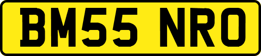 BM55NRO