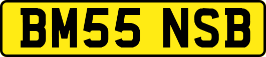 BM55NSB