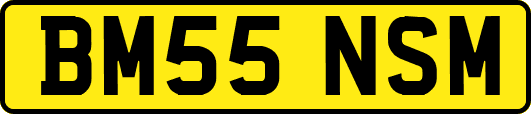 BM55NSM