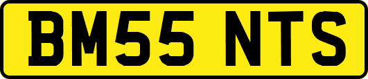 BM55NTS
