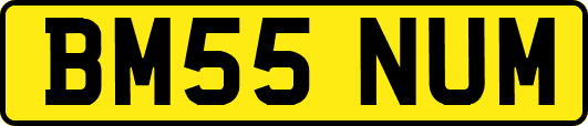 BM55NUM