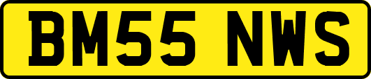 BM55NWS