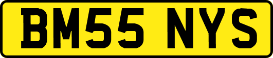 BM55NYS