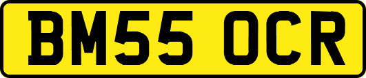 BM55OCR
