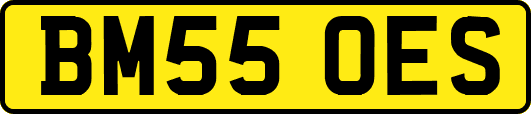 BM55OES