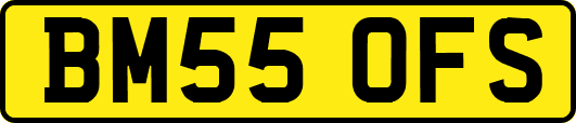 BM55OFS