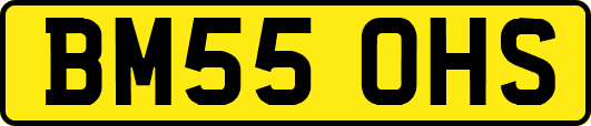 BM55OHS