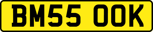 BM55OOK
