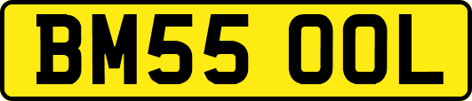 BM55OOL