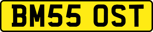 BM55OST