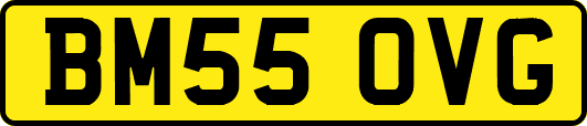 BM55OVG