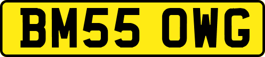 BM55OWG
