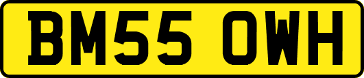 BM55OWH
