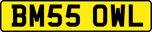 BM55OWL