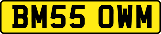 BM55OWM