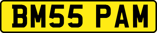 BM55PAM