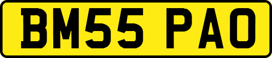 BM55PAO