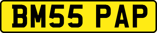 BM55PAP