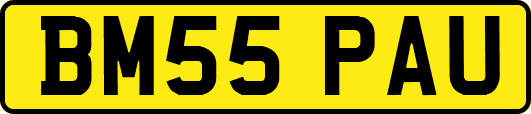 BM55PAU