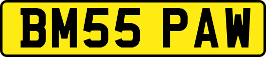 BM55PAW