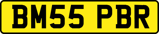 BM55PBR