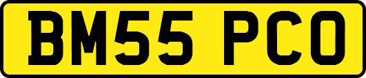 BM55PCO