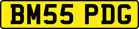 BM55PDG