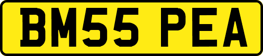 BM55PEA