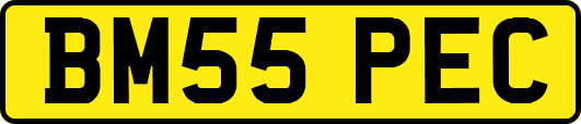 BM55PEC