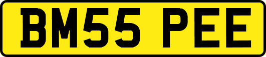 BM55PEE